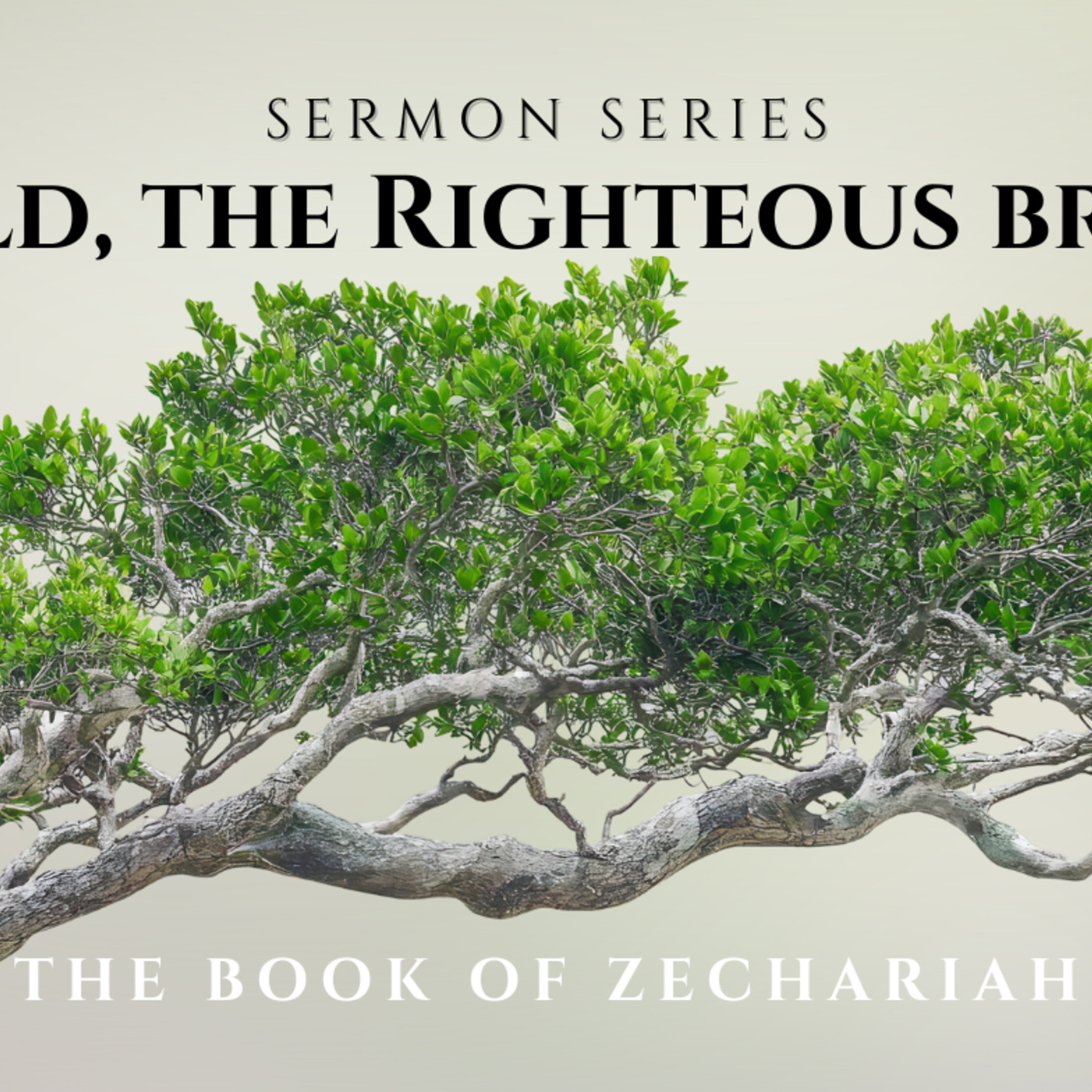 Port St. Lucie Bible Church Sermons